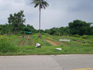 17. อบรมเชิงปฏิบัติการเพิ่มศักยภาพการปลูกพืชหมุนเวียนของเกษตรกร